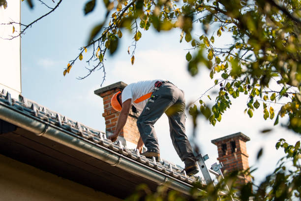 Quick and Trustworthy Emergency Roof Repair Services in Delisle, MS