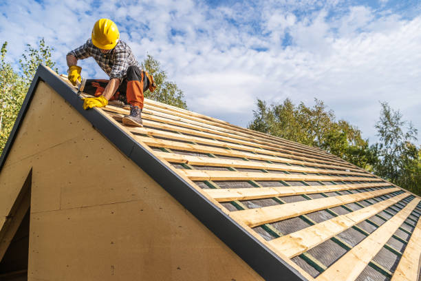 Best Local Roofing Companies  in Delisle, MS