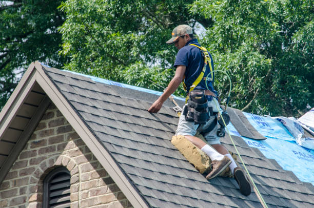 Best Roof Gutter Cleaning  in Delisle, MS